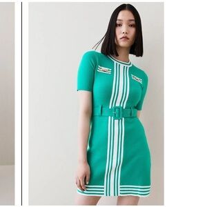 NWT Milano Knit Belted Stripe Detail Mini Dress​​​